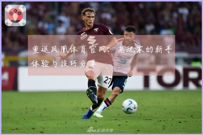 重返凤凰体育官网：老玩家的新手体验与技巧分享