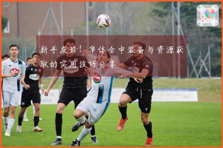 新手友好！华体会中装备与资源获取的实用技巧分享