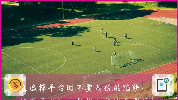 在选择平台时不要忽视的陷阱，ng体育平台入口教你如何避免雷区！